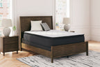Limited edition mattress on bed frame with dark base and white top