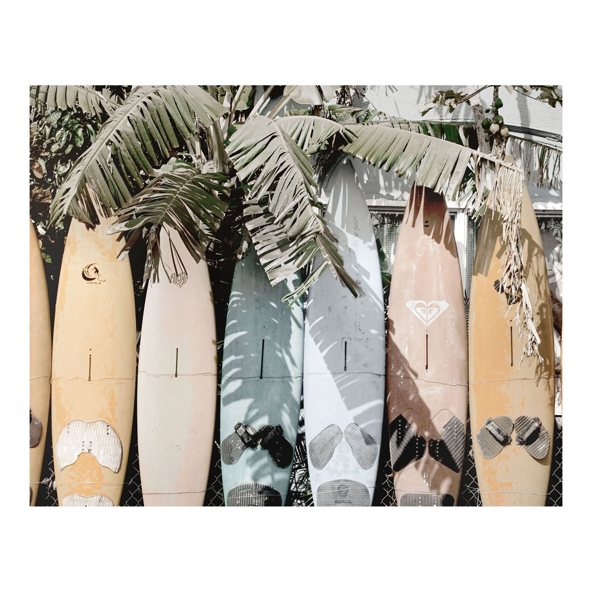 Surfs Up - Wall Decor - Multicolor