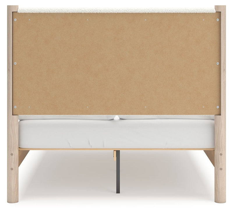 Cadmori - Upholstered Panel Bed