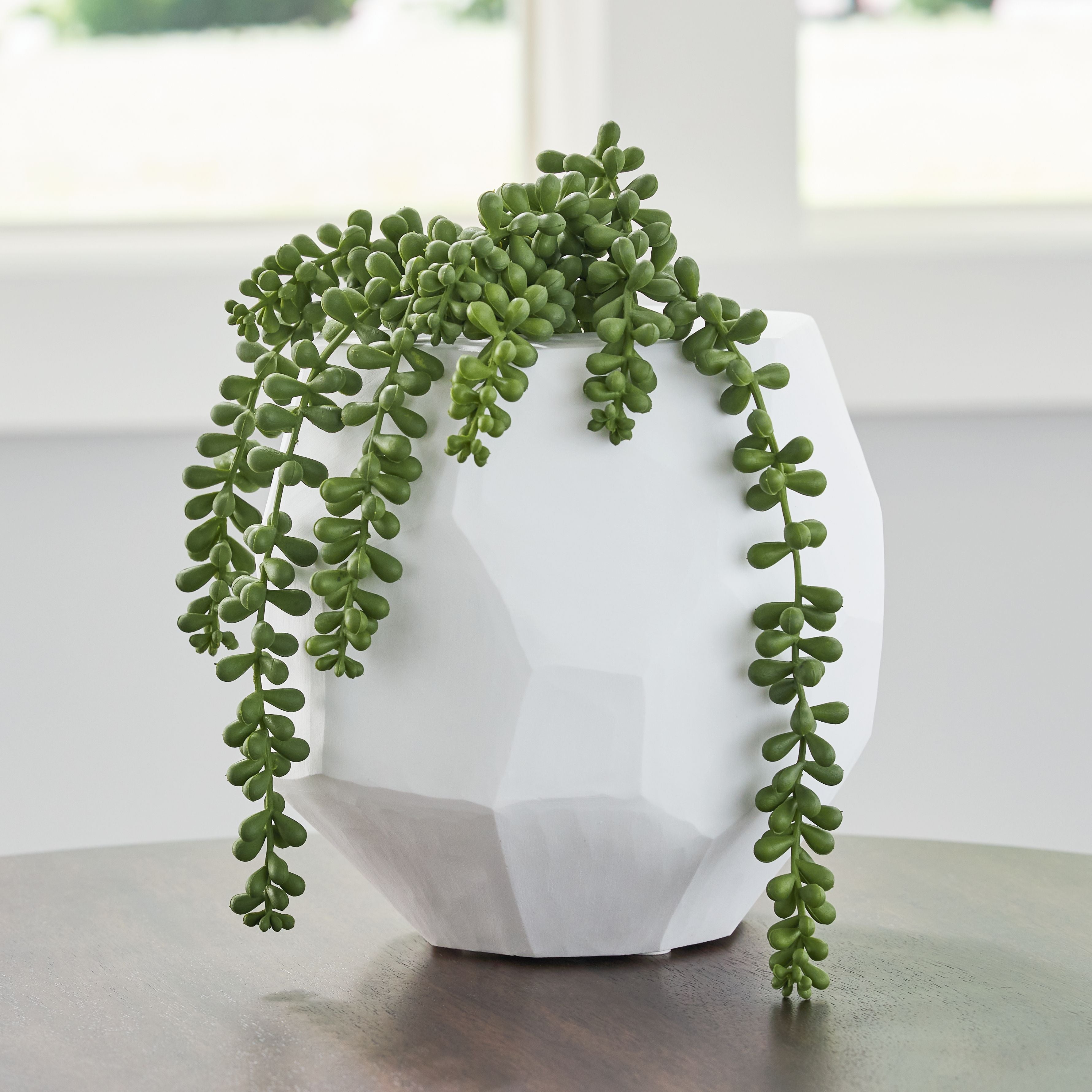 White faceted ceramic vase with circular hanging green succulent stems