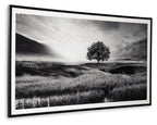 Framed monochrome wall art with lone tree, grassy hills, and winding fence