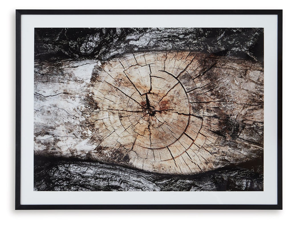 Framed abstract wall art with wide circular tree-ring rings on mottled dark and light background