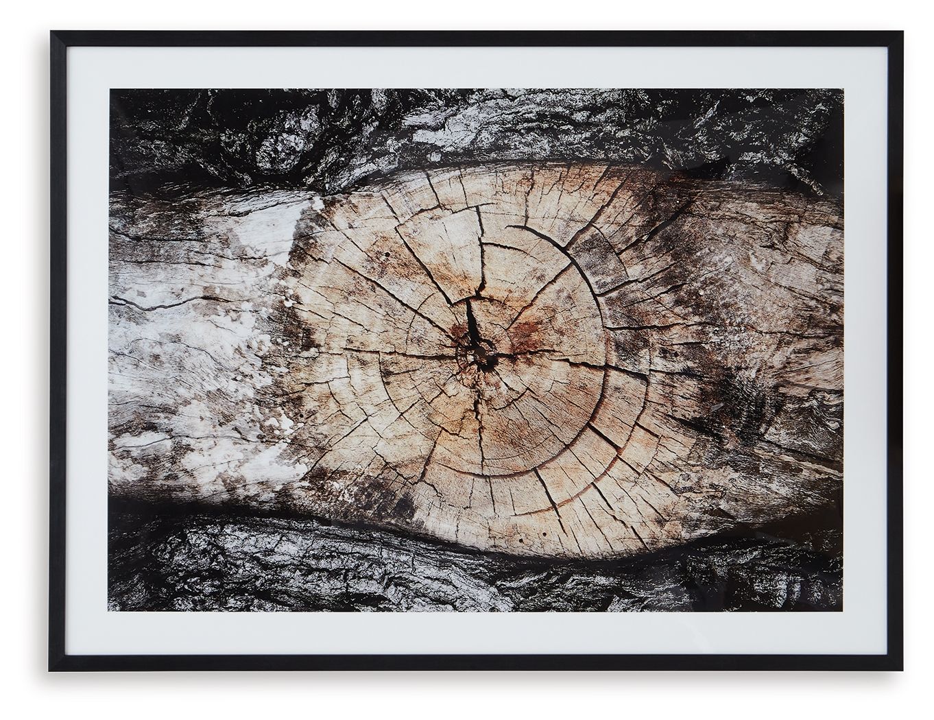 Framed abstract wall art with wide circular tree-ring rings on mottled dark and light background