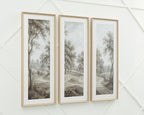 Set of three framed wall art prints, grayscale woodland landscapes with winding paths
