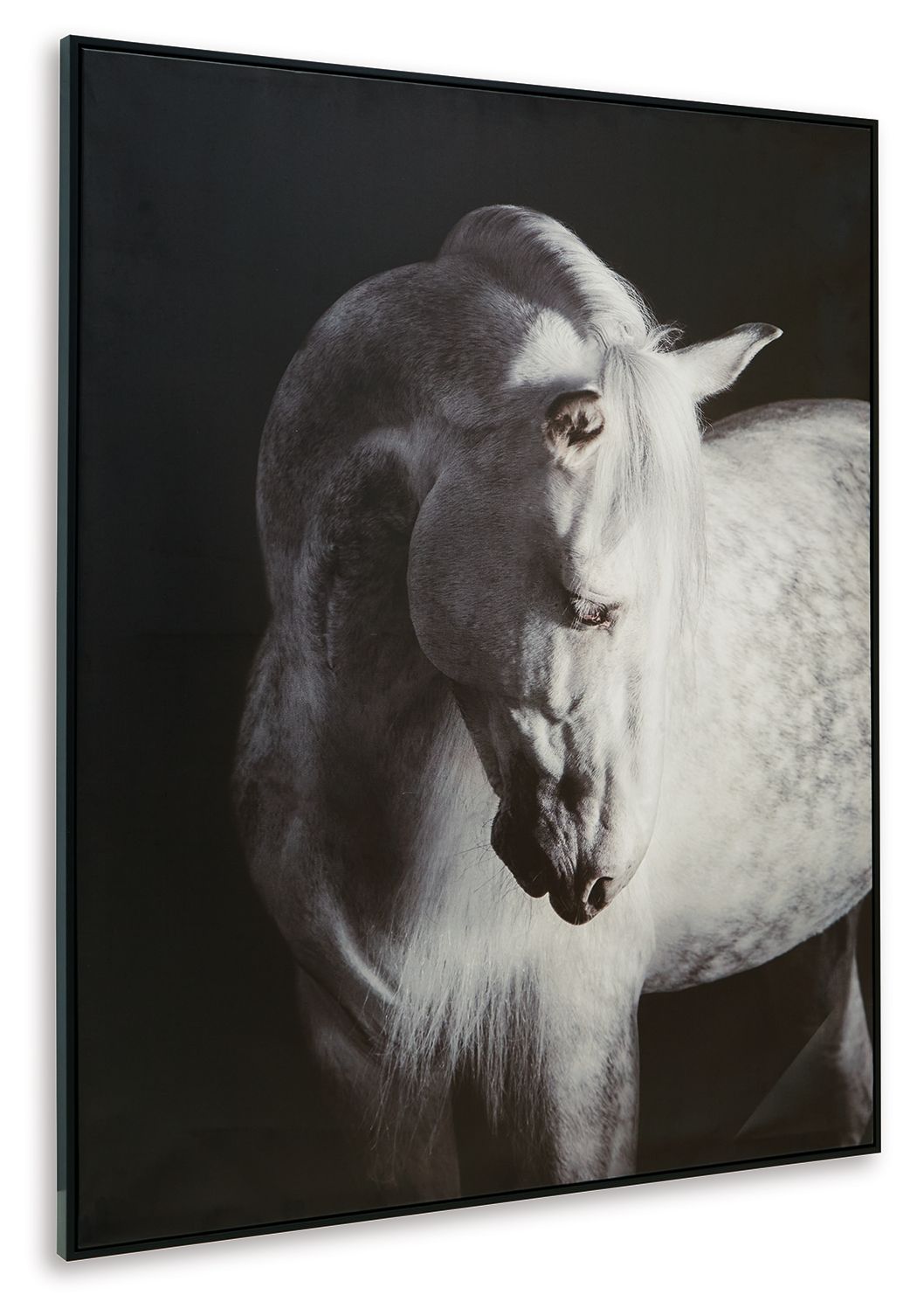Black-framed wall art print of a black-and-white horse in profile