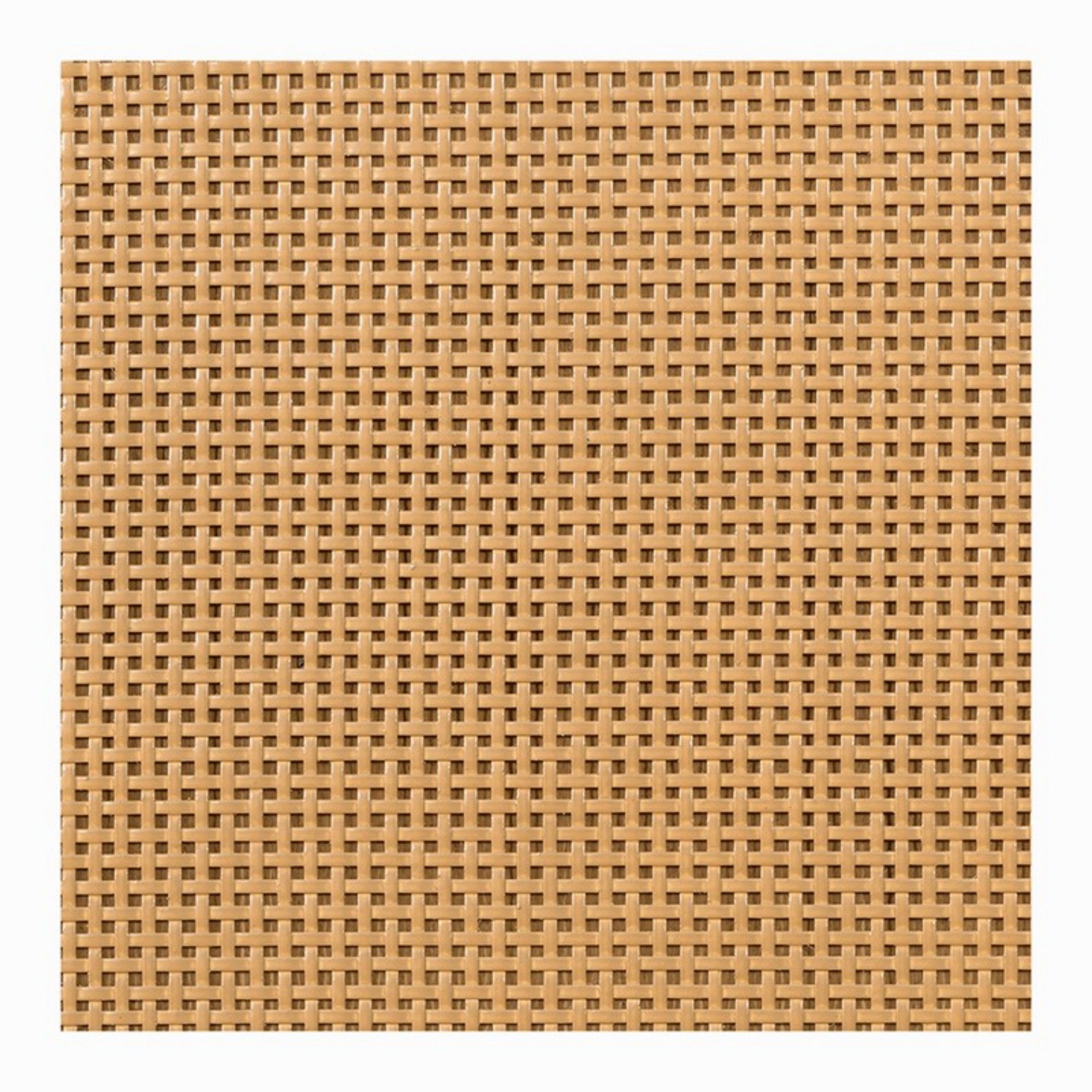 21017540