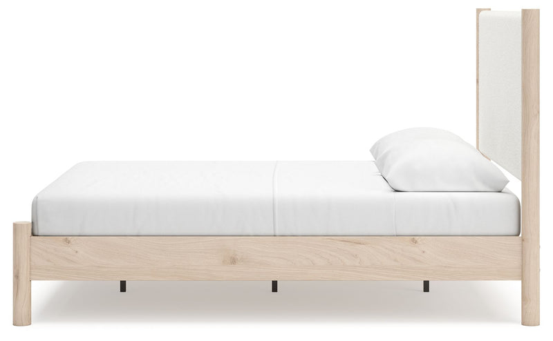 Cadmori - Upholstered Panel Bed