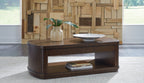 Dark brown lift-top cocktail table with open shelf, styled with tabletop items
