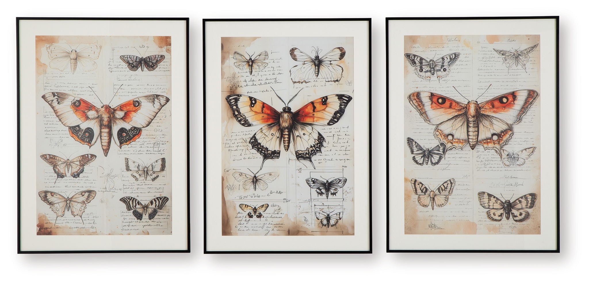 Three framed butterfly wall art prints in orange, black, and ivory tones