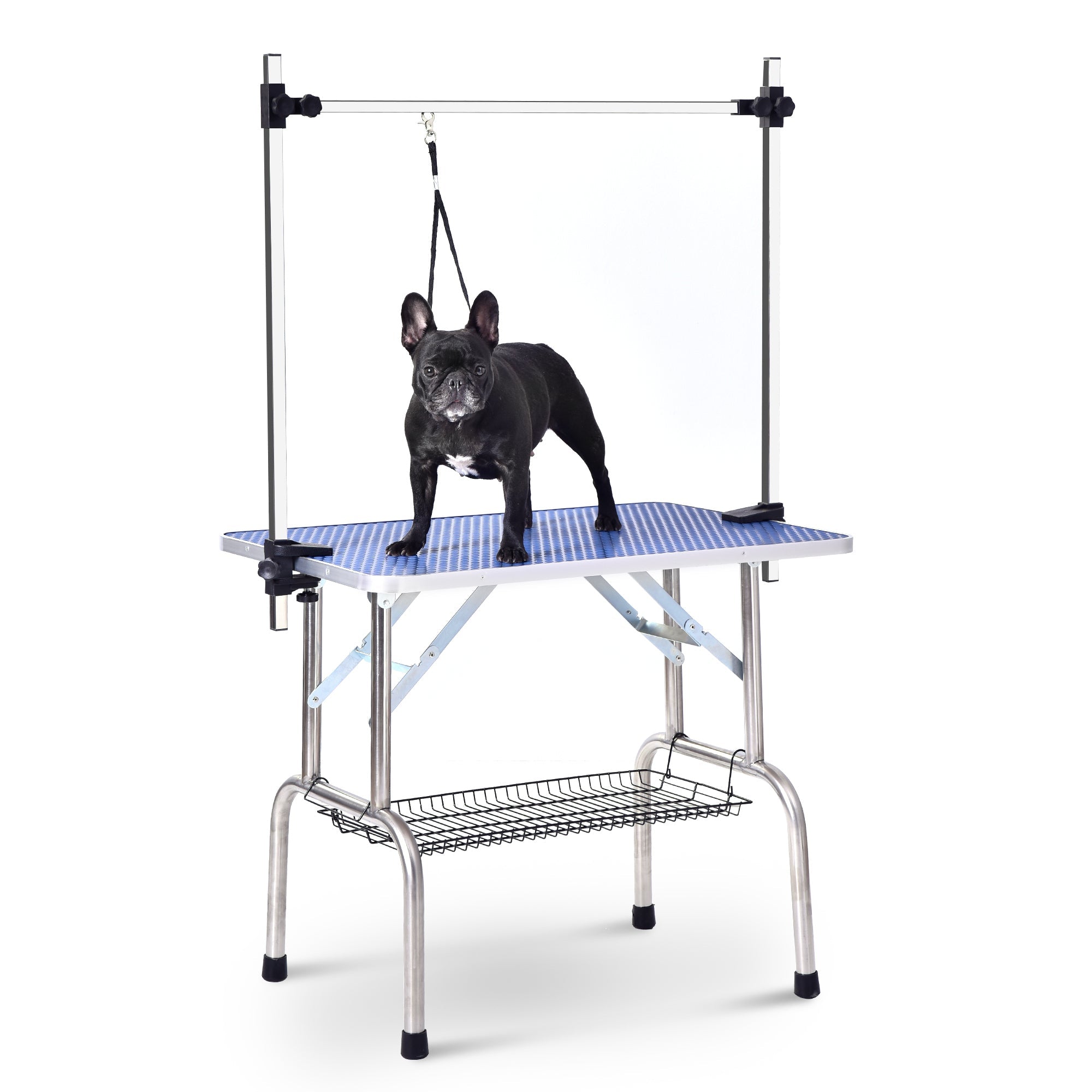 Large 46" Pet Grooming Table, Adjustable Arm, Heavy Duty, Blue